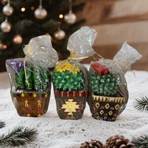 Colorful Potted Cactus Trio